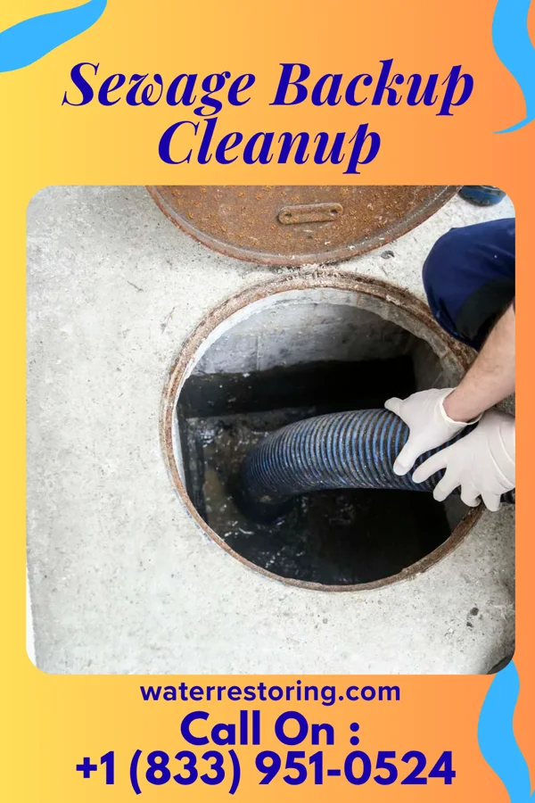 Sewage Backup Cleanup in Seymour, MO