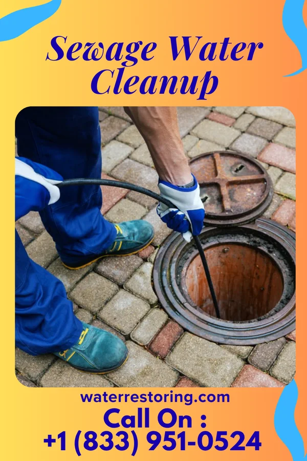 Sewage Water Cleanup in Seymour, MO